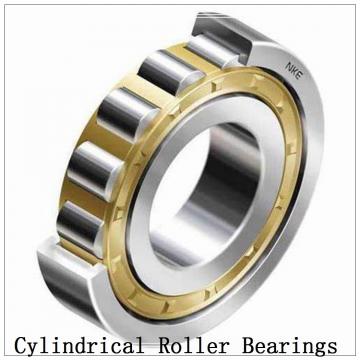 NTN  SL01-4848 SL Type Cylindrical Roller Bearings  