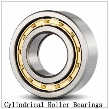 NTN  SL01-4960 SL Type Cylindrical Roller Bearings  