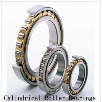 NTN  SL01-4834 SL Type Cylindrical Roller Bearings  