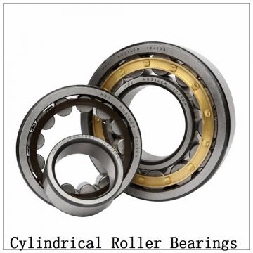 NTN  SL01-4838 SL Type Cylindrical Roller Bearings  