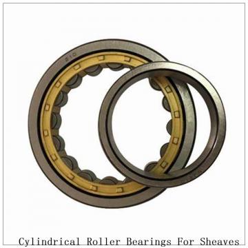 NTN  SL04-5030NR SL Type Cylindrical Roller Bearings for Sheaves  